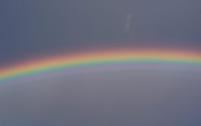 Wie dein Gehirn deinen Alltag beeinflusst – und warum Verstehen alles verändert